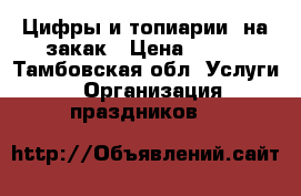 Цифры и топиарии  на закак › Цена ­ 500 - Тамбовская обл. Услуги » Организация праздников   